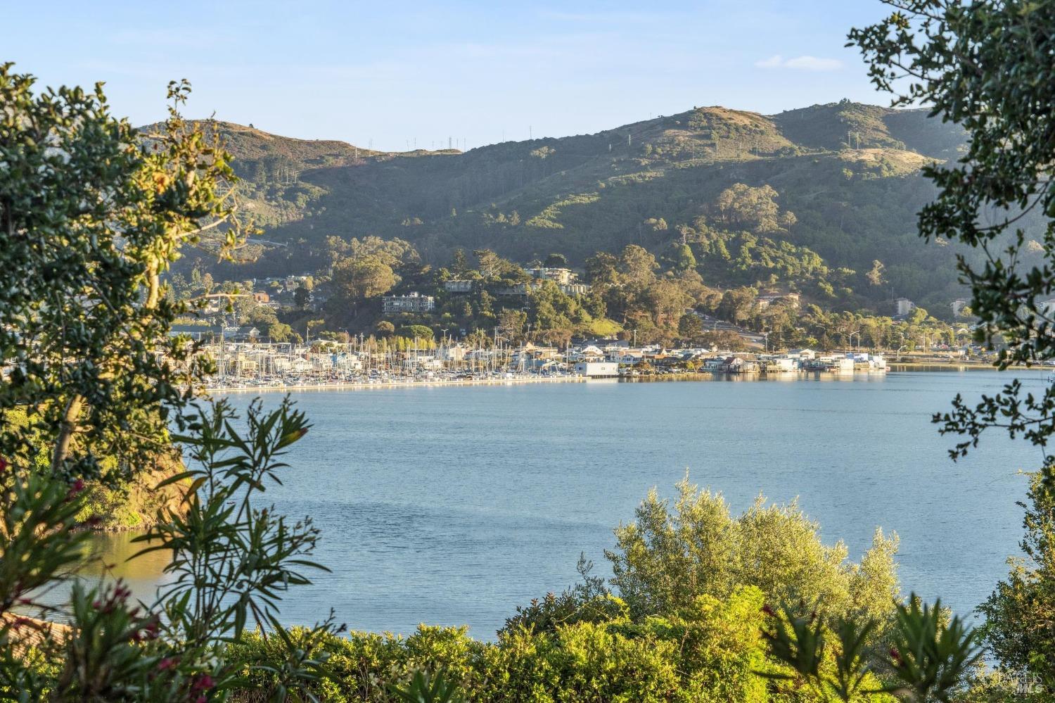 113 Chapel Drive Mill Valley, CA 94941 - Photo 57 of 60 a view of a lake with a mountain