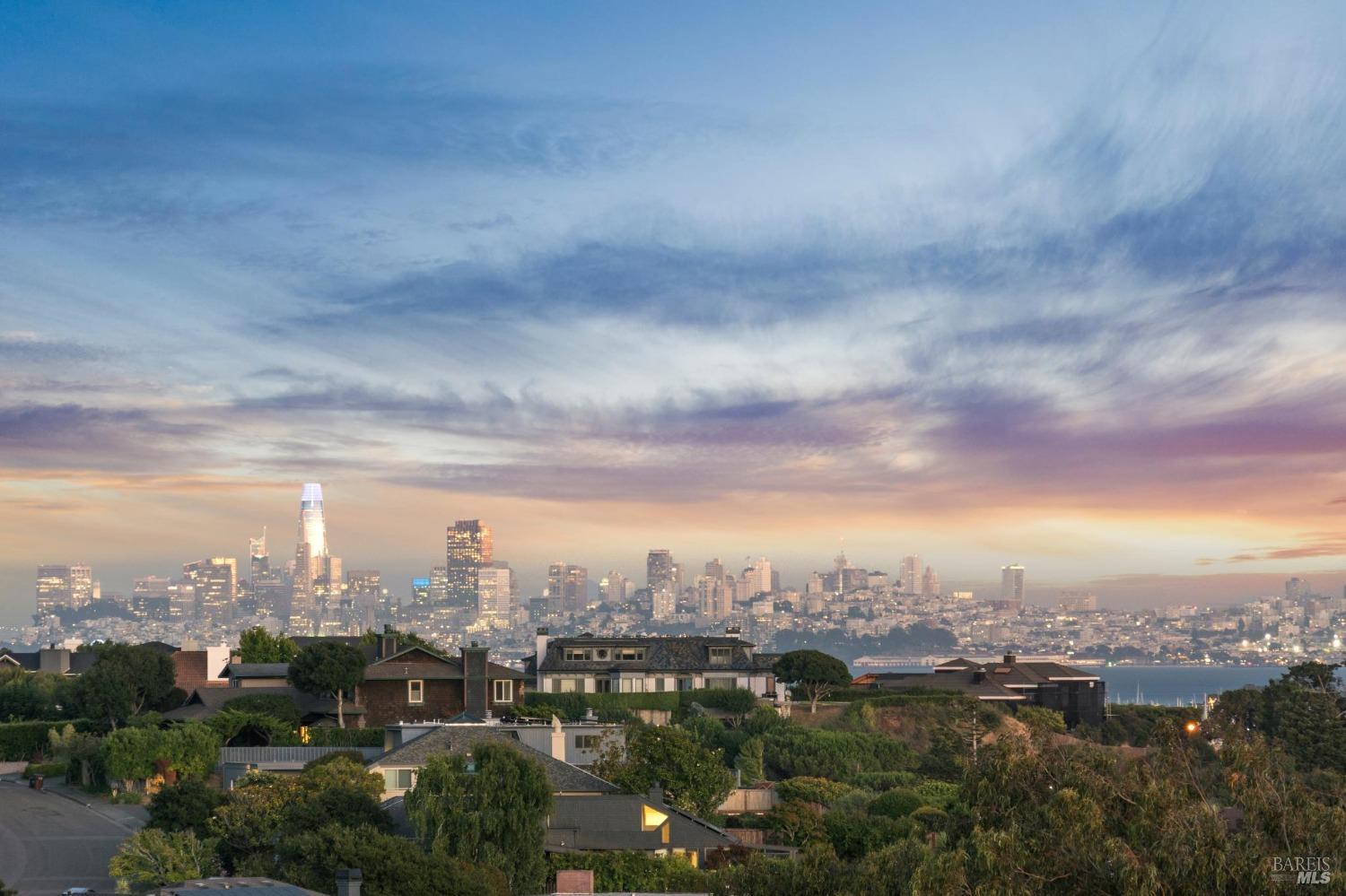 113 Chapel Drive Mill Valley, CA 94941 - Photo 60 of 60 a view of a city