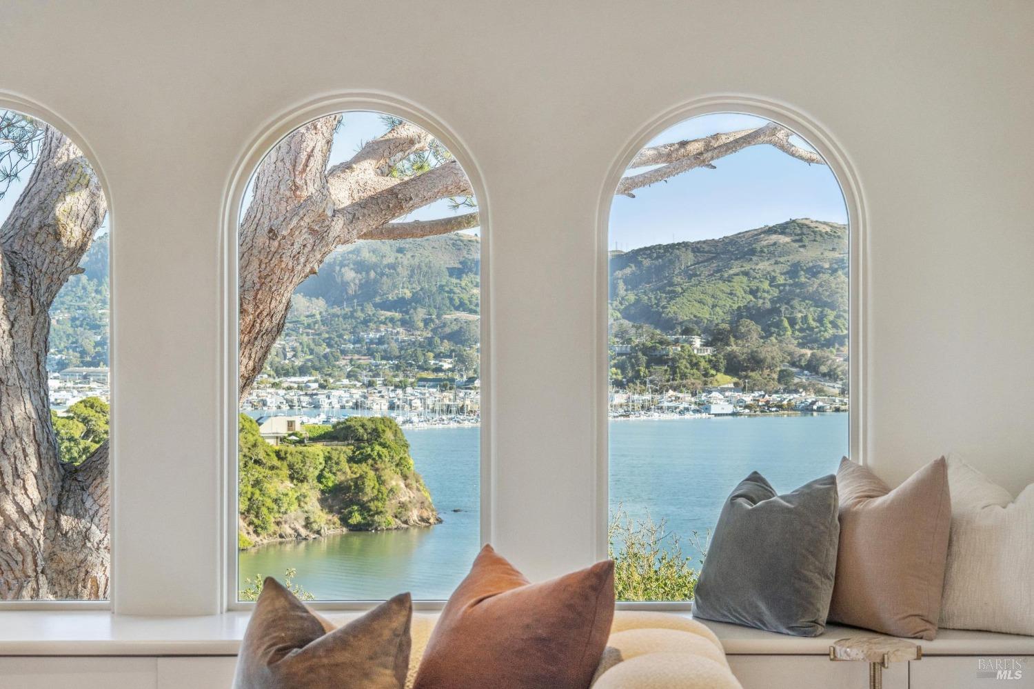 113 Chapel Drive Mill Valley, CA 94941 - Photo 9 of 60 a living room with furniture and a large window