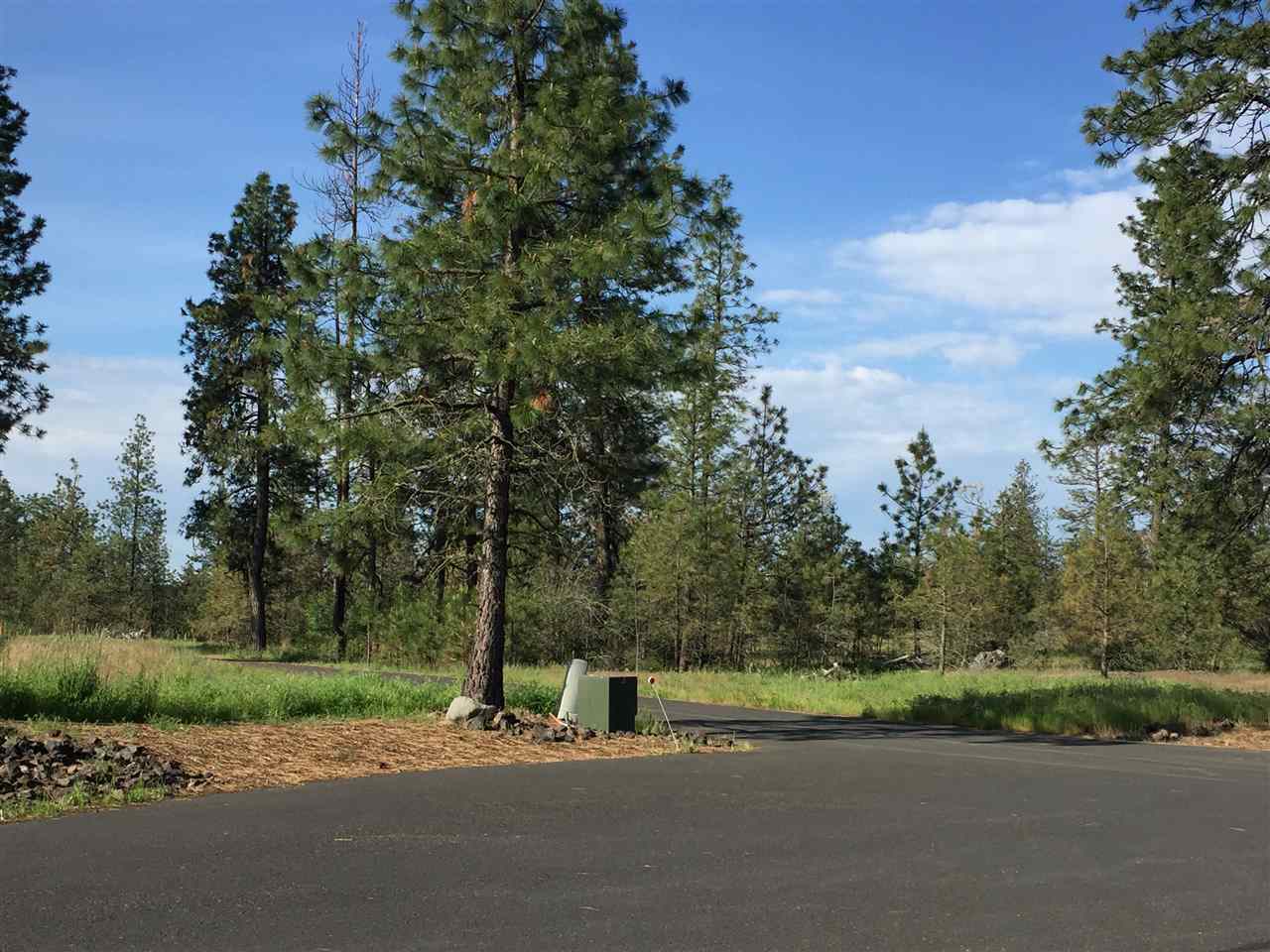 Lot J Ridge Park Lane Cheney, WA 99004 - Photo 11 of 13 Gallery Image 11