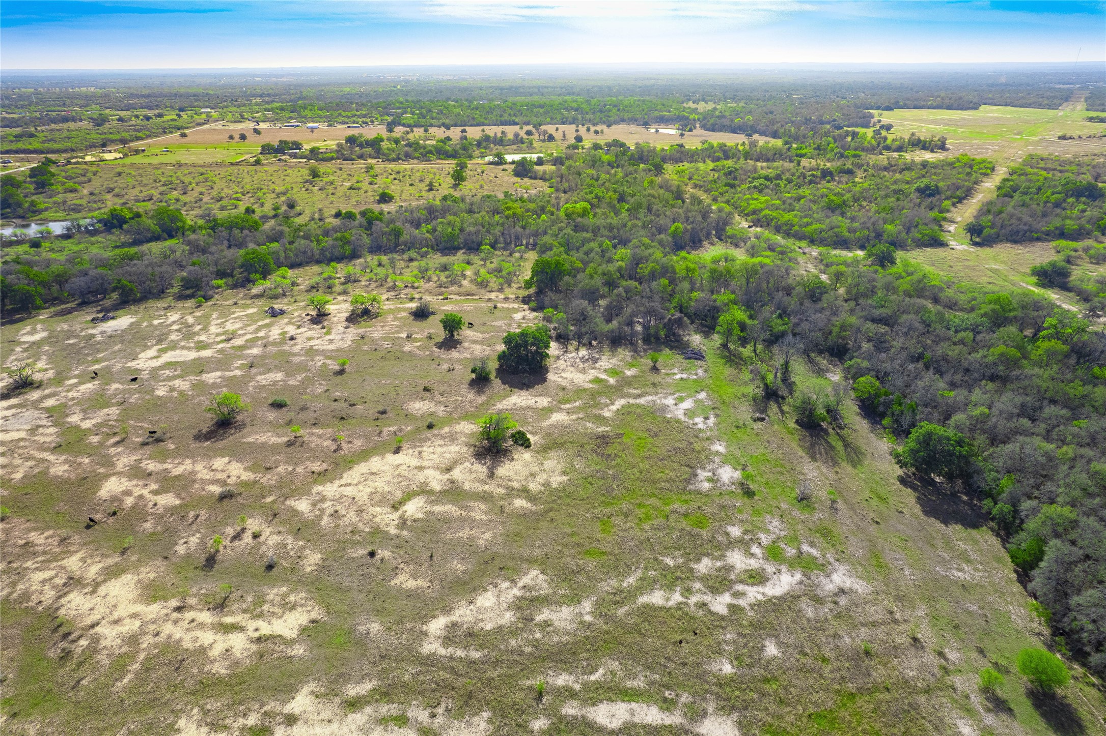 1180 Bugtussle Lane Luling, TX 78648 - Photo 19 of 21