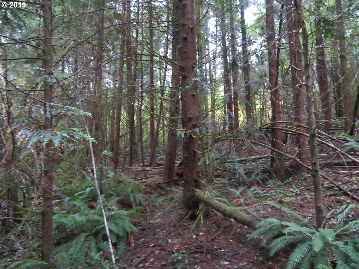 100 East Wishkah Road Aberdeen, WA 98520 - Photo 11 of 29 Gallery Image 11