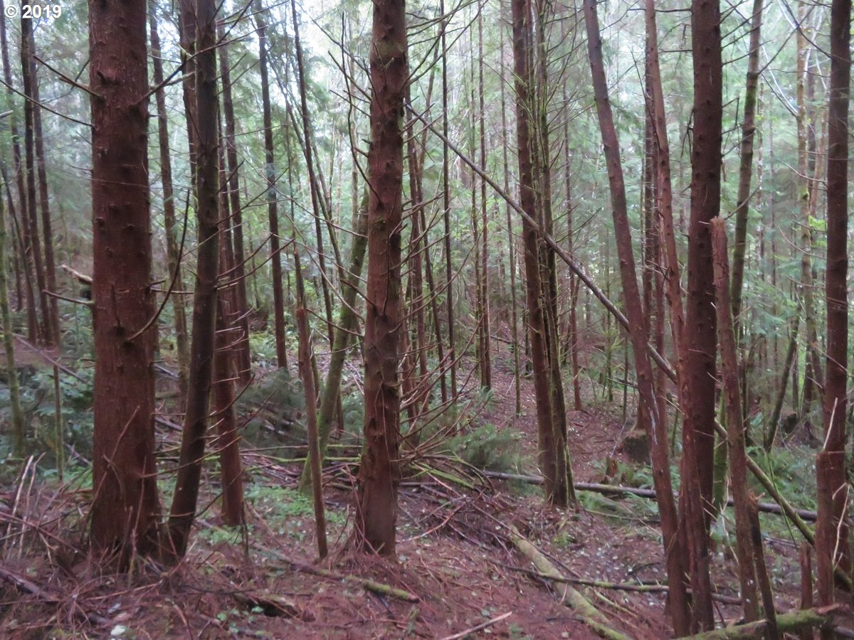 100 East Wishkah Road Aberdeen, WA 98520 - Photo 12 of 29 Gallery Image 12