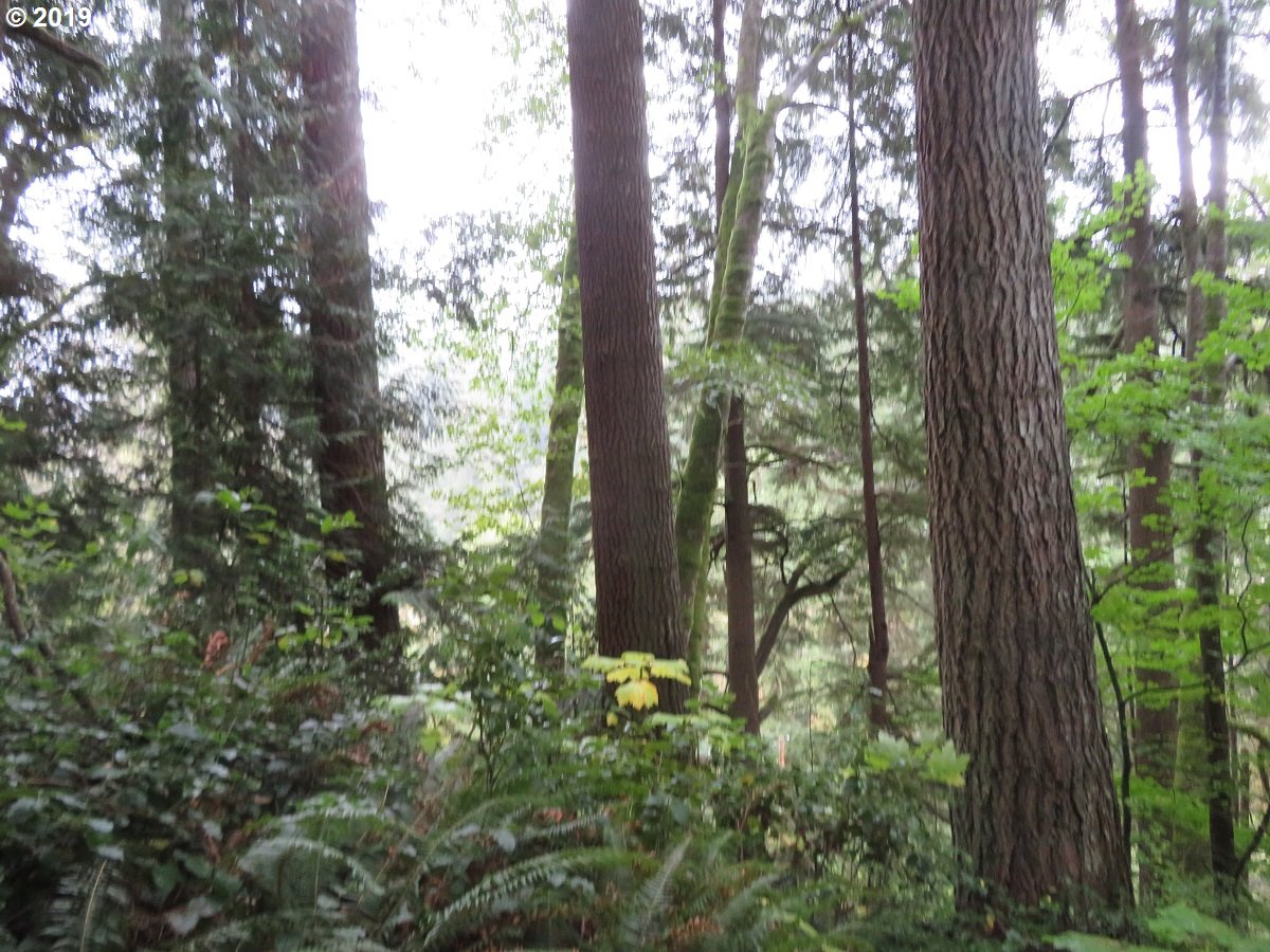 100 East Wishkah Road Aberdeen, WA 98520 - Photo 13 of 29 Gallery Image 13