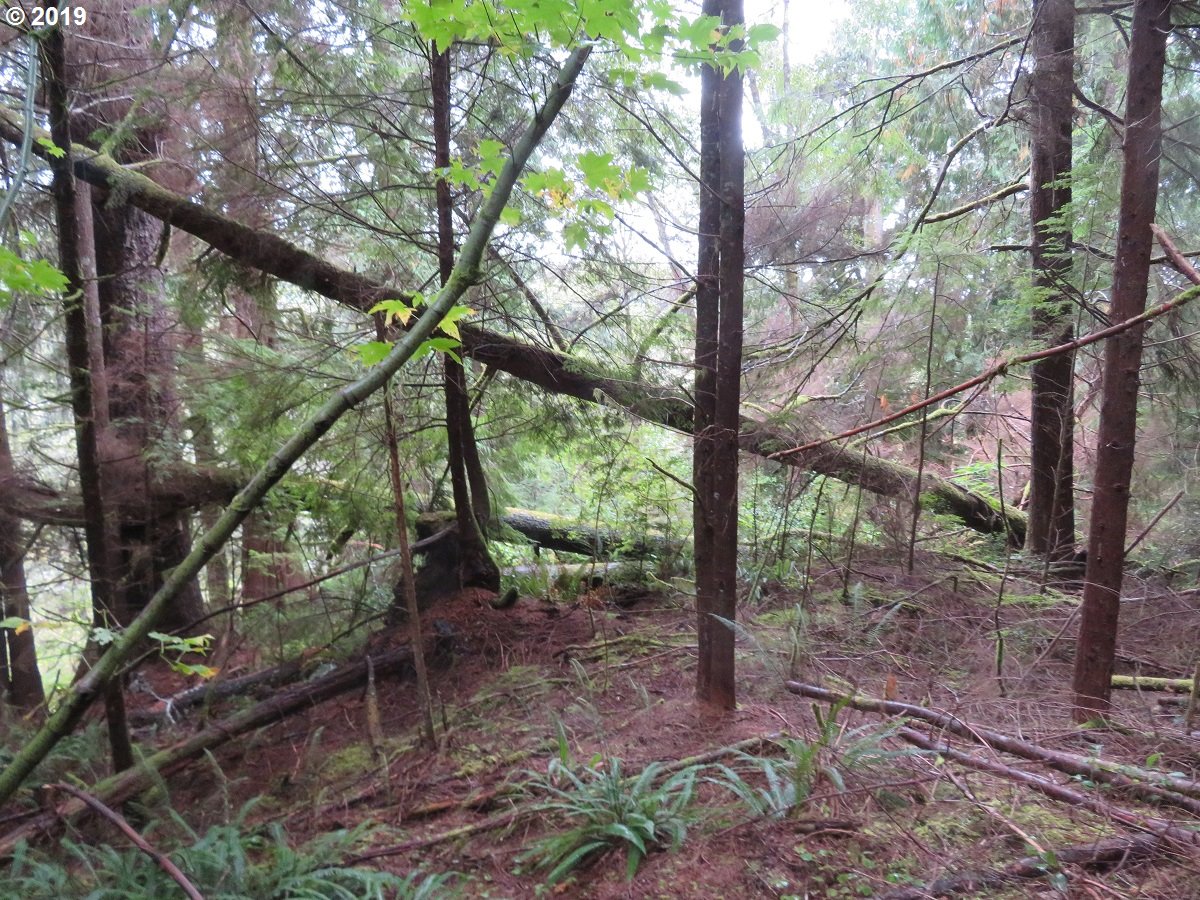 100 East Wishkah Road Aberdeen, WA 98520 - Photo 14 of 29 Gallery Image 14