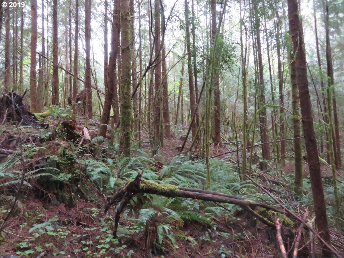 100 East Wishkah Road Aberdeen, WA 98520 - Photo 15 of 29 Gallery Image 15