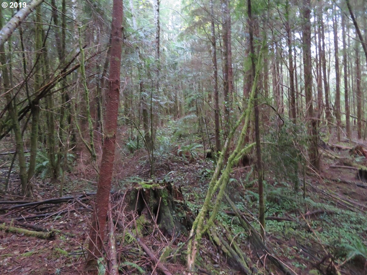 100 East Wishkah Road Aberdeen, WA 98520 - Photo 17 of 29 Gallery Image 17