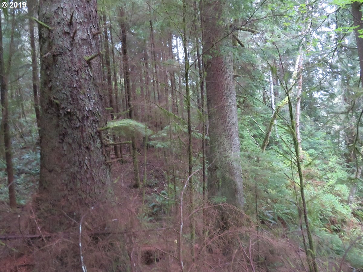 100 East Wishkah Road Aberdeen, WA 98520 - Photo 19 of 29 Gallery Image 19