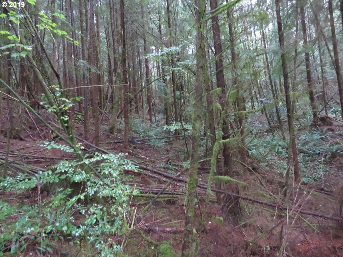 100 East Wishkah Road Aberdeen, WA 98520 - Photo 20 of 29 Gallery Image 20