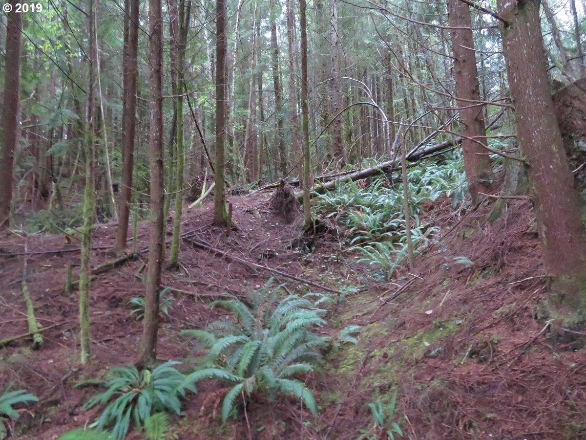 100 East Wishkah Road Aberdeen, WA 98520 - Photo 23 of 29 Gallery Image 23