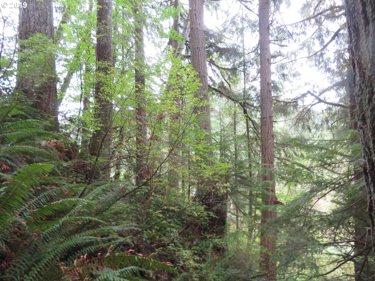 100 East Wishkah Road Aberdeen, WA 98520 - Photo 7 of 29 Gallery Image 7