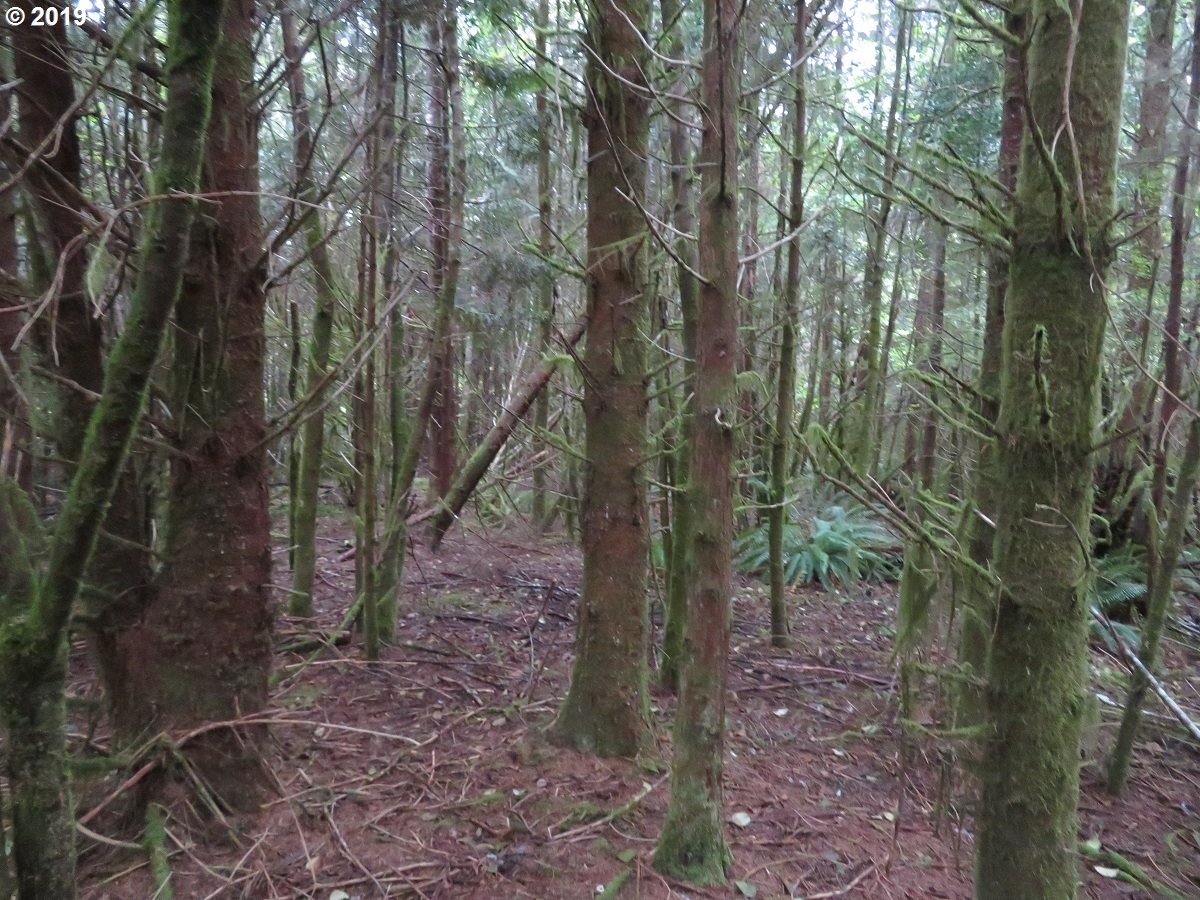 100 East Wishkah Road Aberdeen, WA 98520 - Photo 10 of 29 Gallery Image 10
