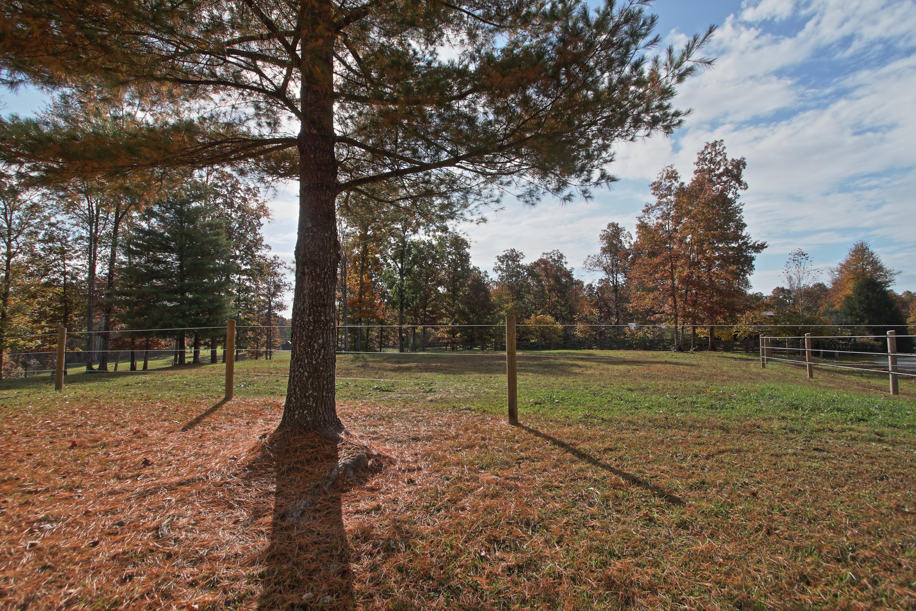 262 Briar Point Road Allardt, TN 38504 - Photo 21 of 26 s9