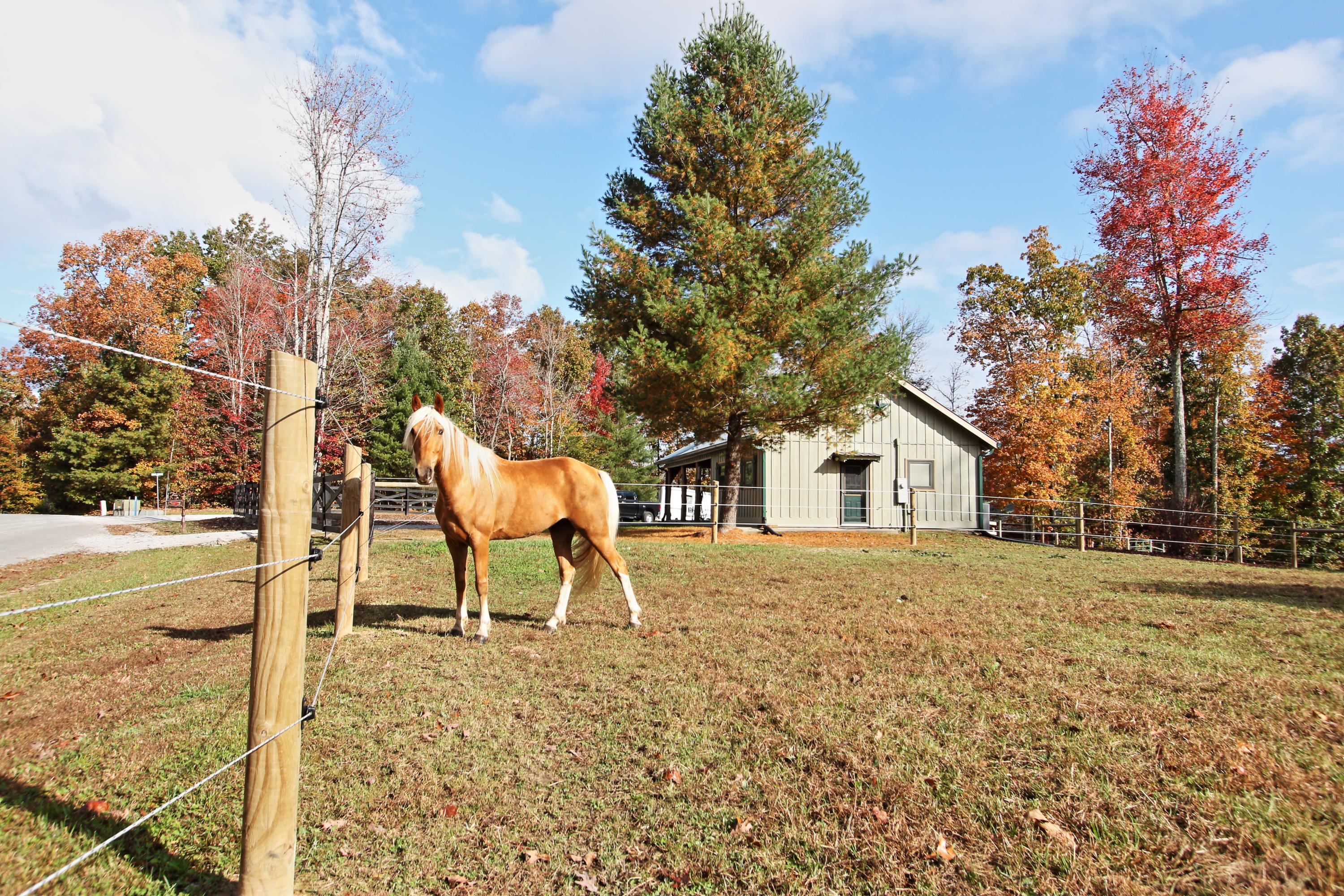 262 Briar Point Road Allardt, TN 38504 - Photo 22 of 26 s20