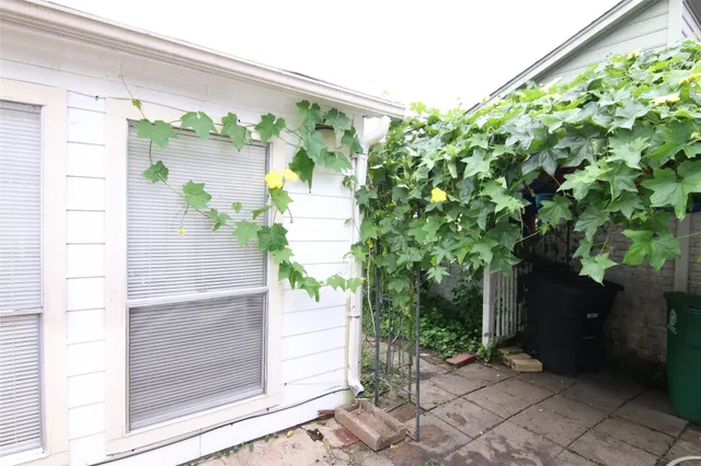 a potted plant sitting in front of a door