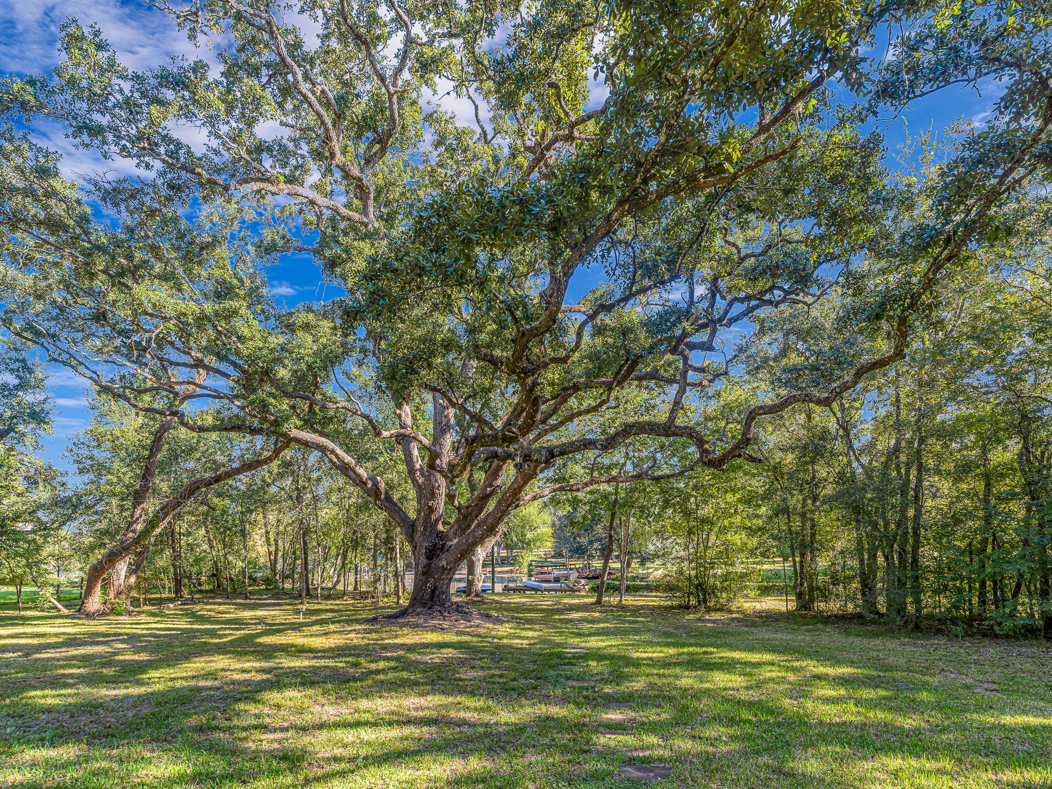 18117 FM 762 Road Needville, TX 77461 - Photo 36 of 37 a view of a green field with lots of trees