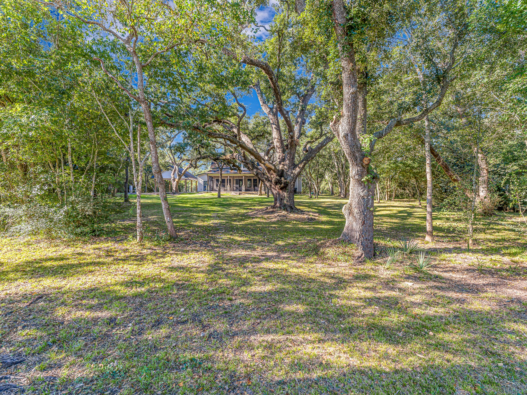 18117 FM 762 Road Needville, TX 77461 - Photo 37 of 37 a view of a tree in a yard
