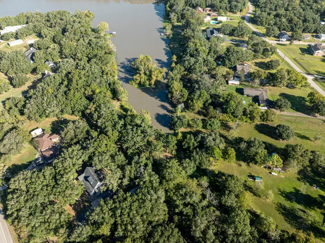 a view of a garden with a plant
