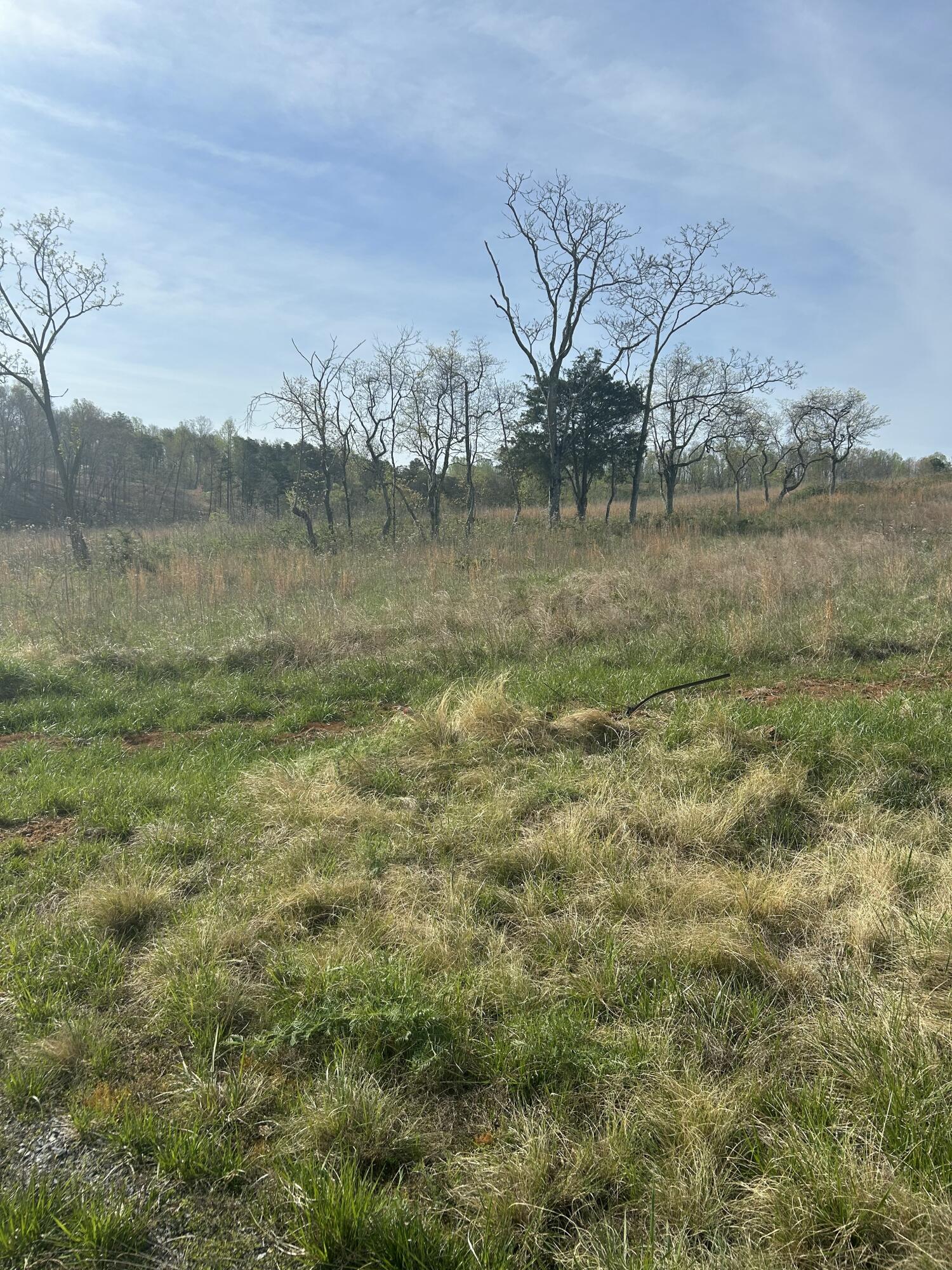 Lot 26 Springsteen Circle Hardy, VA 24101 - Photo 3 of 9 IMG_4425