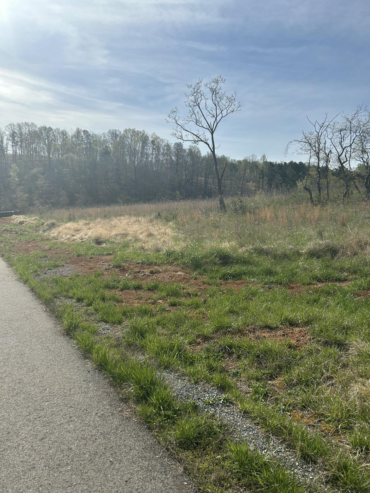 Lot 26 Springsteen Circle Hardy, VA 24101 - Photo 4 of 9 IMG_4426