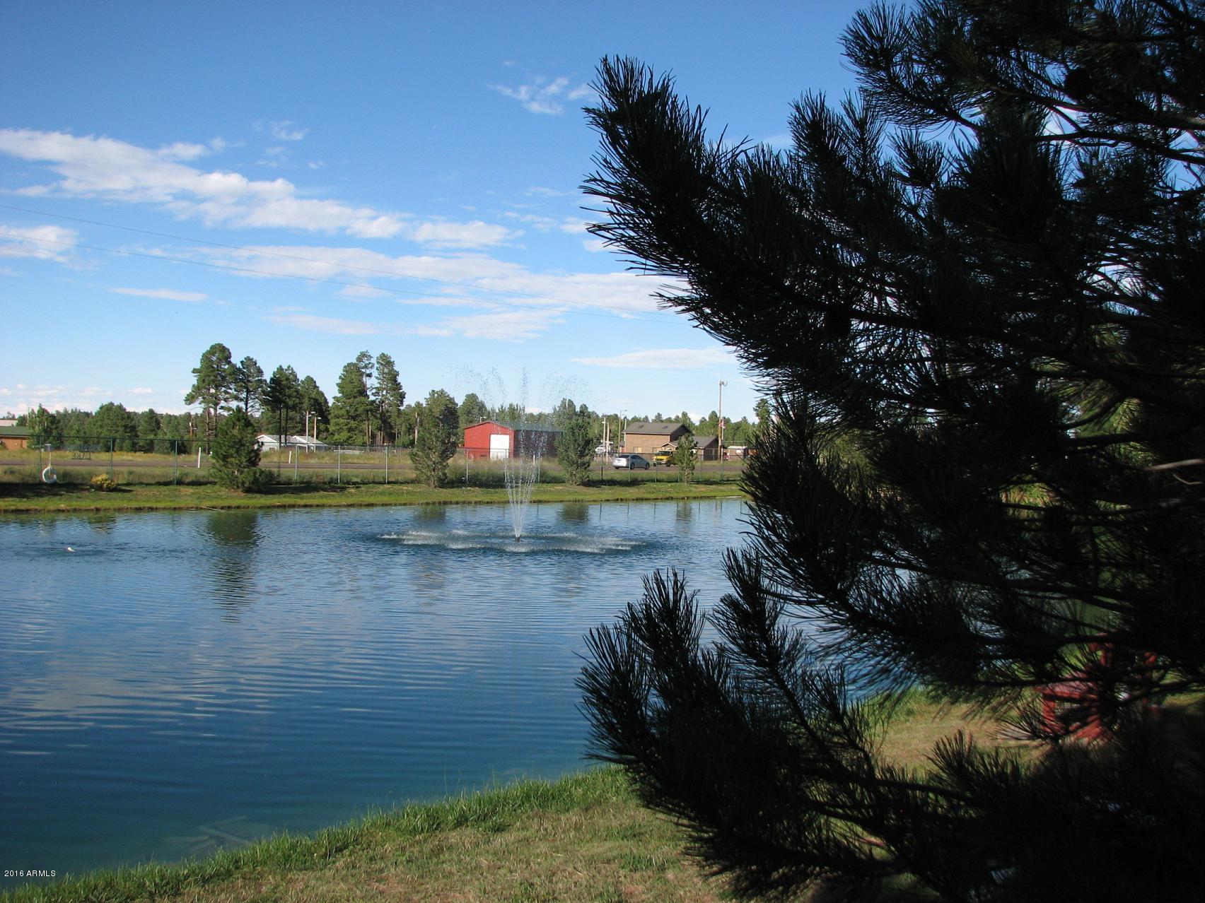 2261 Water'n Hole Road Overgaard, AZ 85933 - Photo 33 of 43 lake