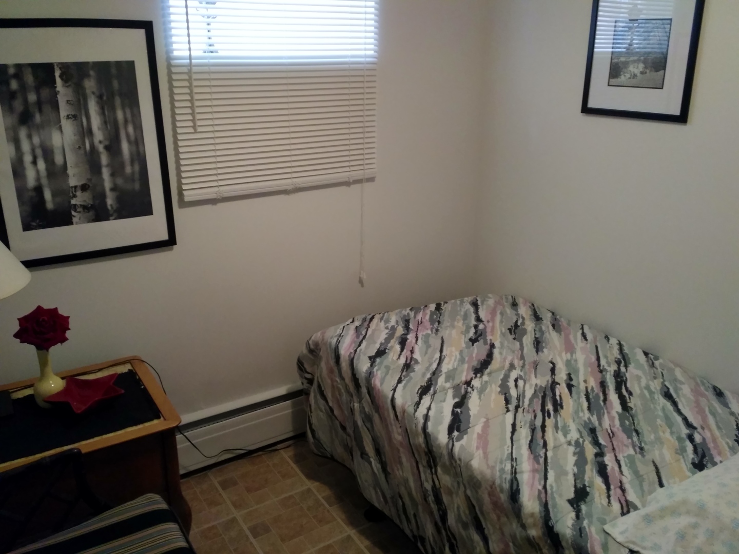 4253 West 55th Street Chicago, IL 60632 - Photo 17 of 26