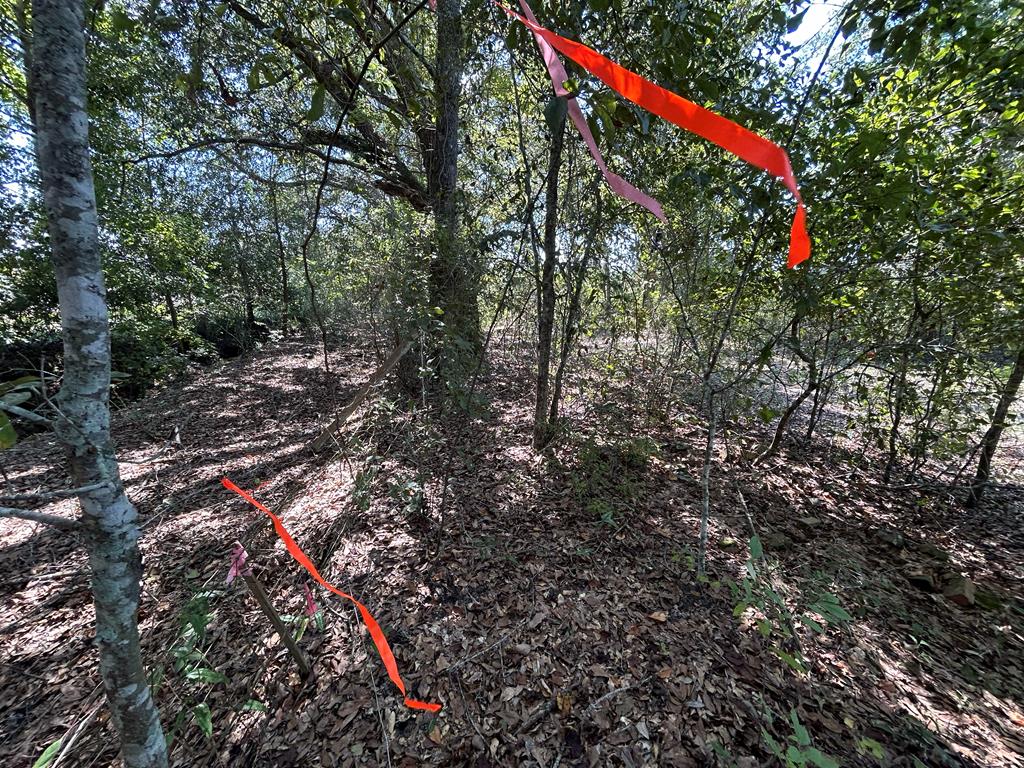 1.9-ac Barnes Road Gordon, AL 36343 - Photo 21 of 28