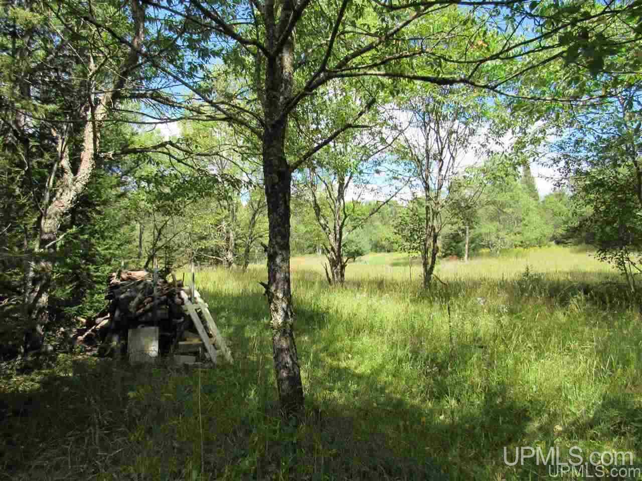 Tbd Tbd Off Stagecoach Road Michigamme, MI 49861 - Photo 15 of 37
