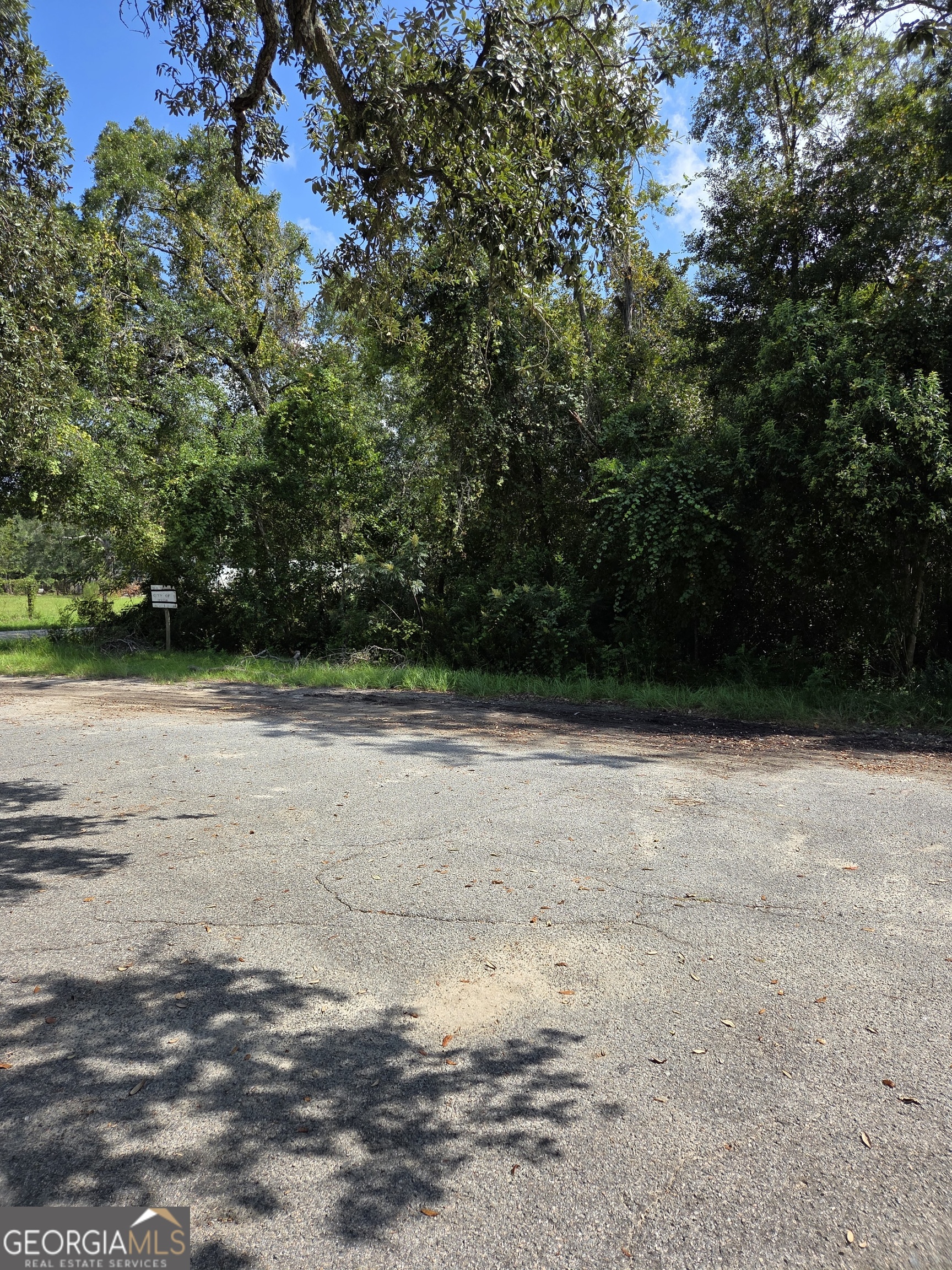 0 Oak Street Jesup, GA 31545 - Photo 2 of 5