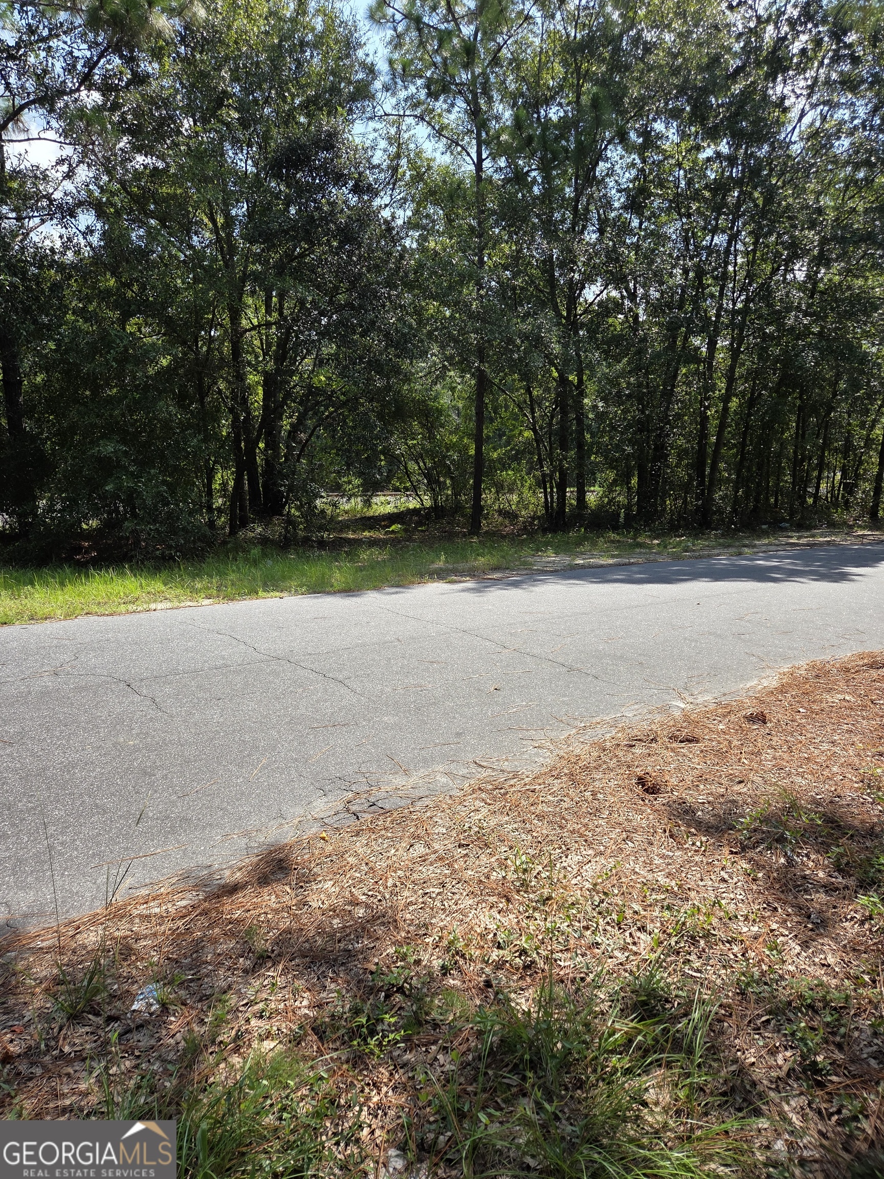 0 Oak Street Jesup, GA 31545 - Photo 4 of 5