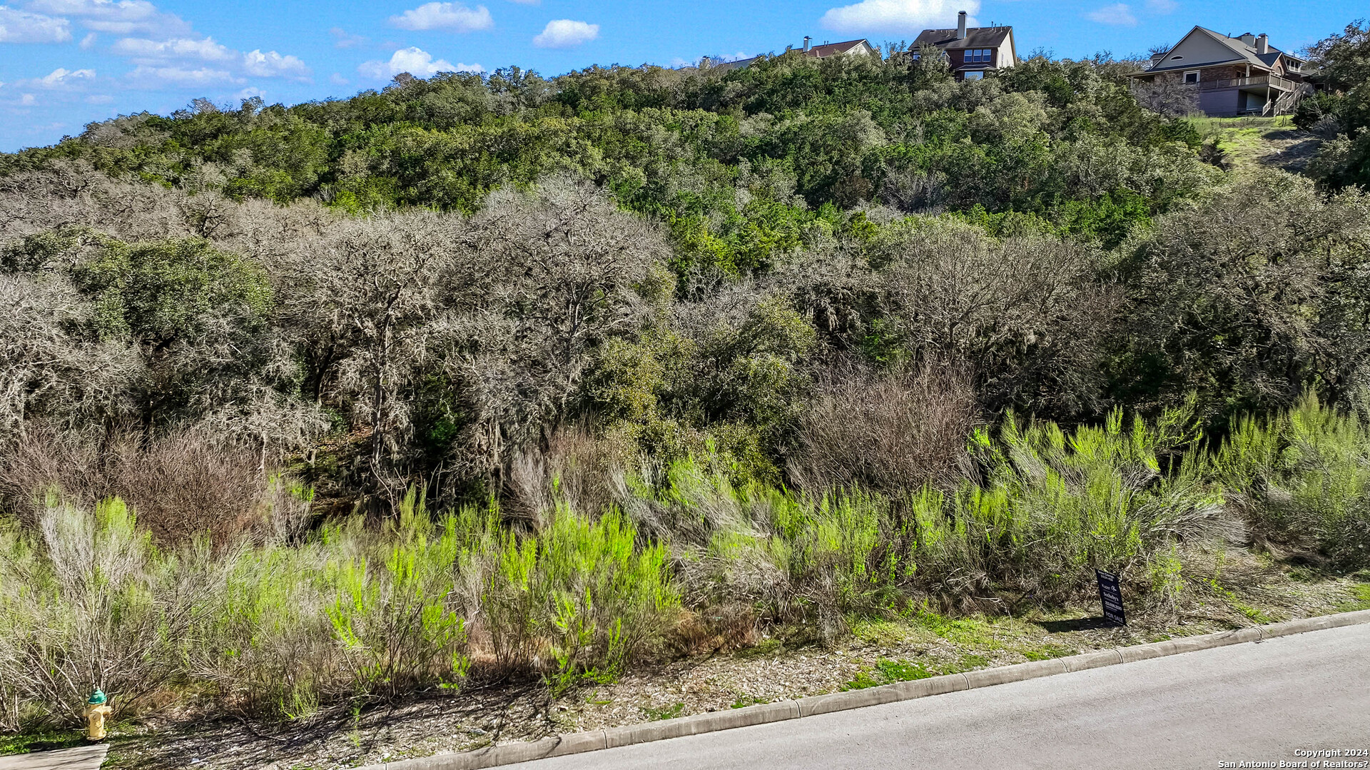 602 Winding Ravine San Antonio, TX 78258 - Photo 15 of 16 a view of a garden with a tree