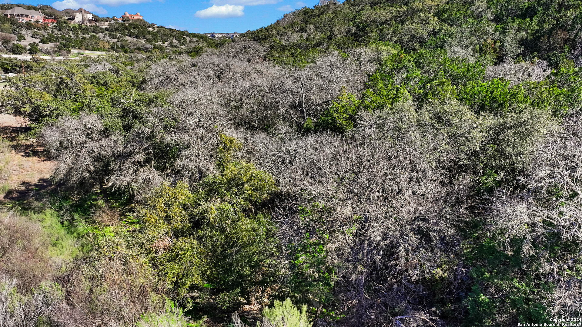 602 Winding Ravine San Antonio, TX 78258 - Photo 16 of 16 a view of a forest with trees in the background