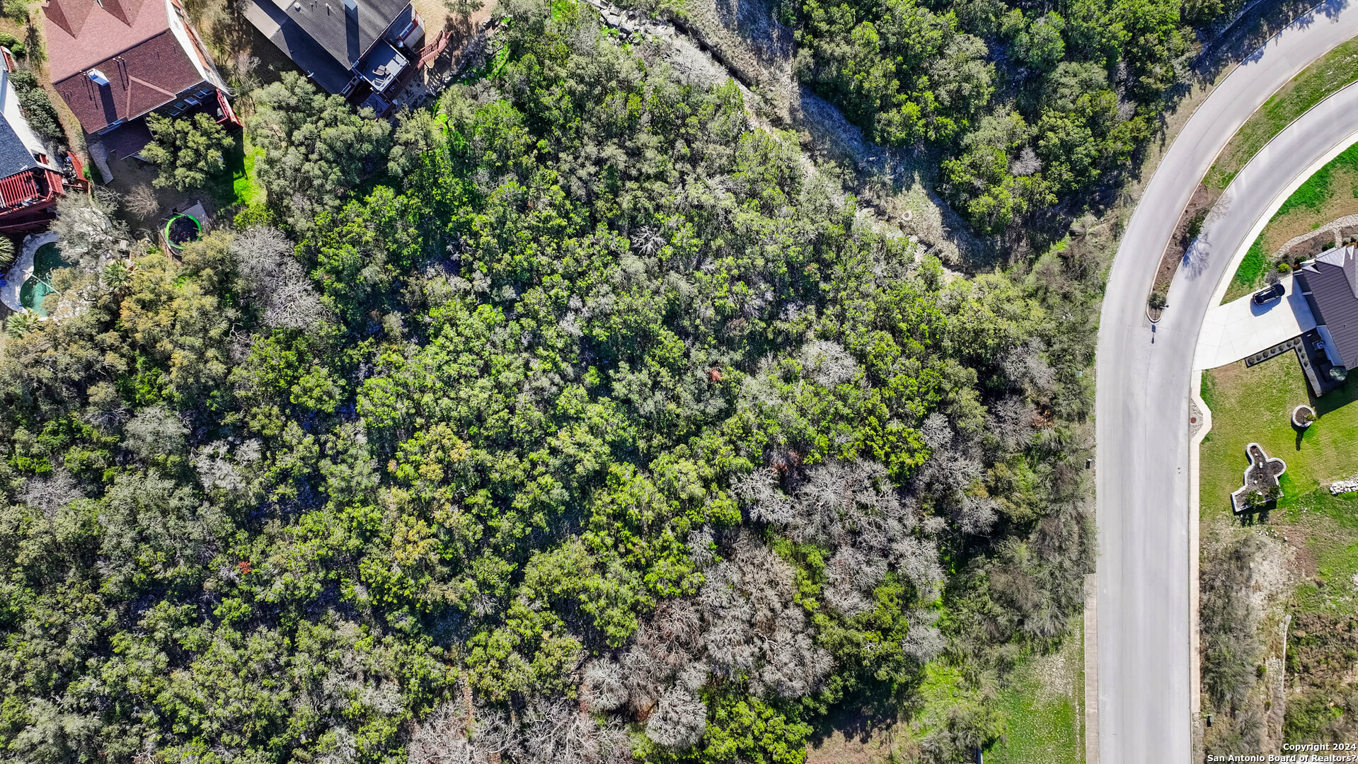 602 Winding Ravine San Antonio, TX 78258 - Photo 3 of 16 a view of a garden with plants