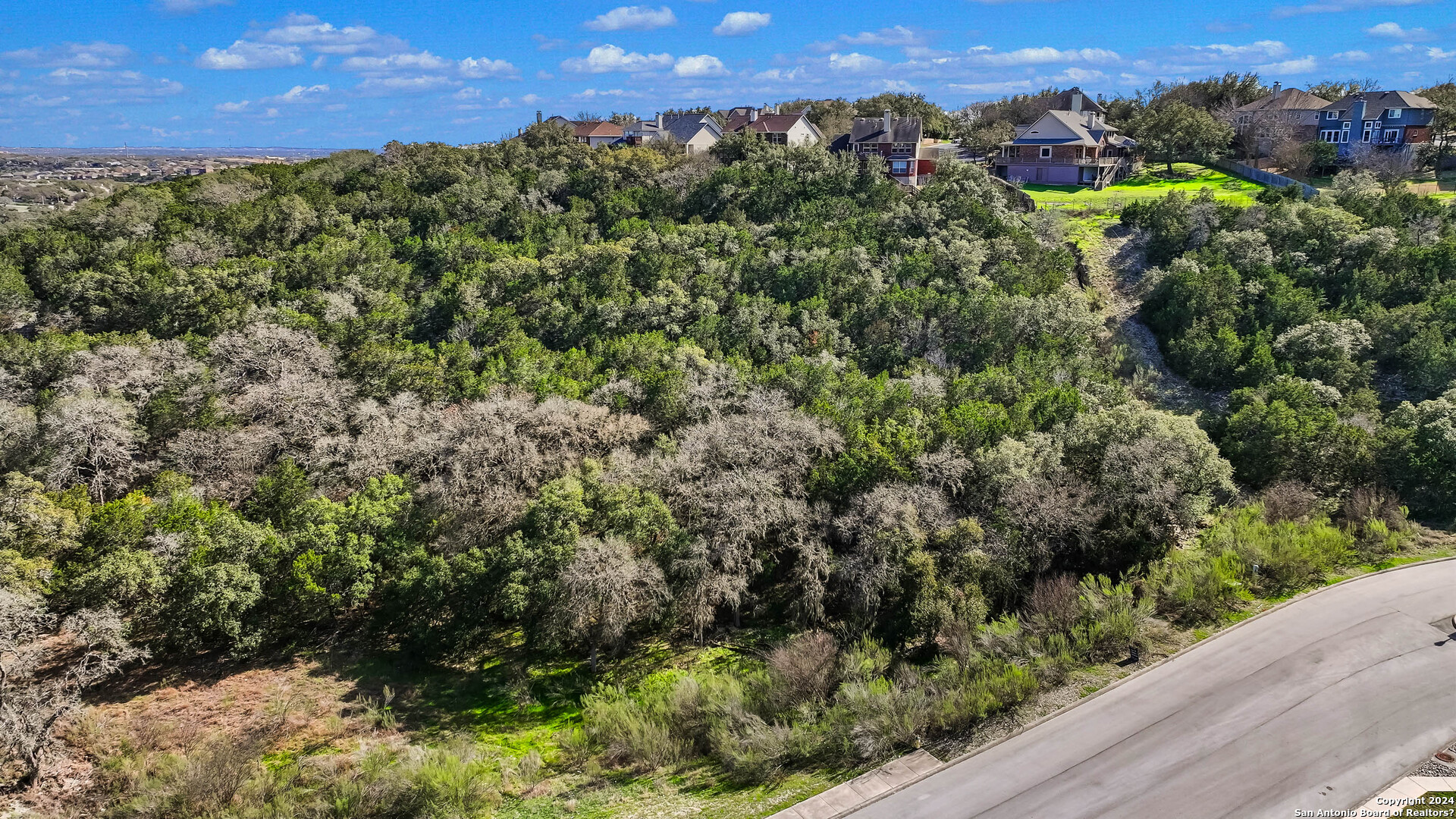 602 Winding Ravine San Antonio, TX 78258 - Photo 5 of 16 an aerial view of a houses with a yard