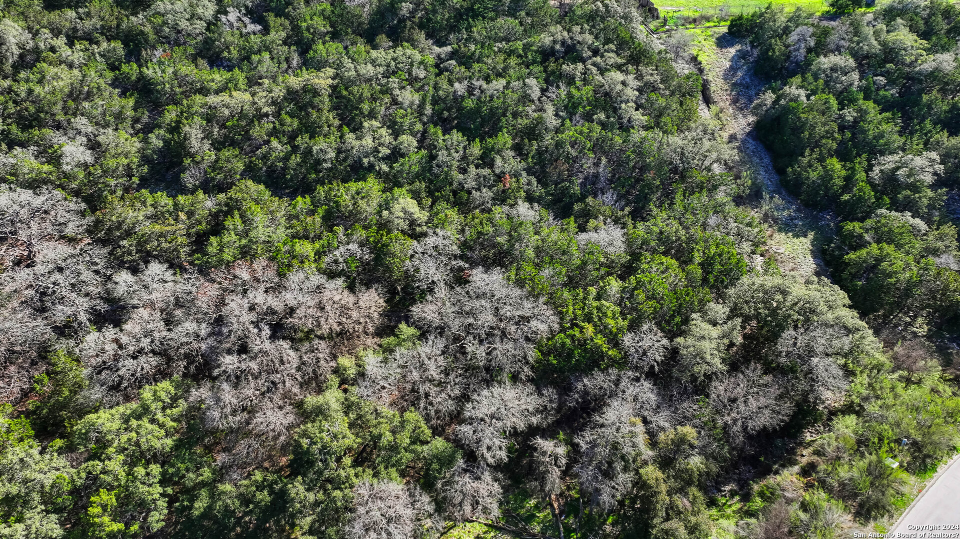 602 Winding Ravine San Antonio, TX 78258 - Photo 8 of 16 view of a lots of trees and bushes