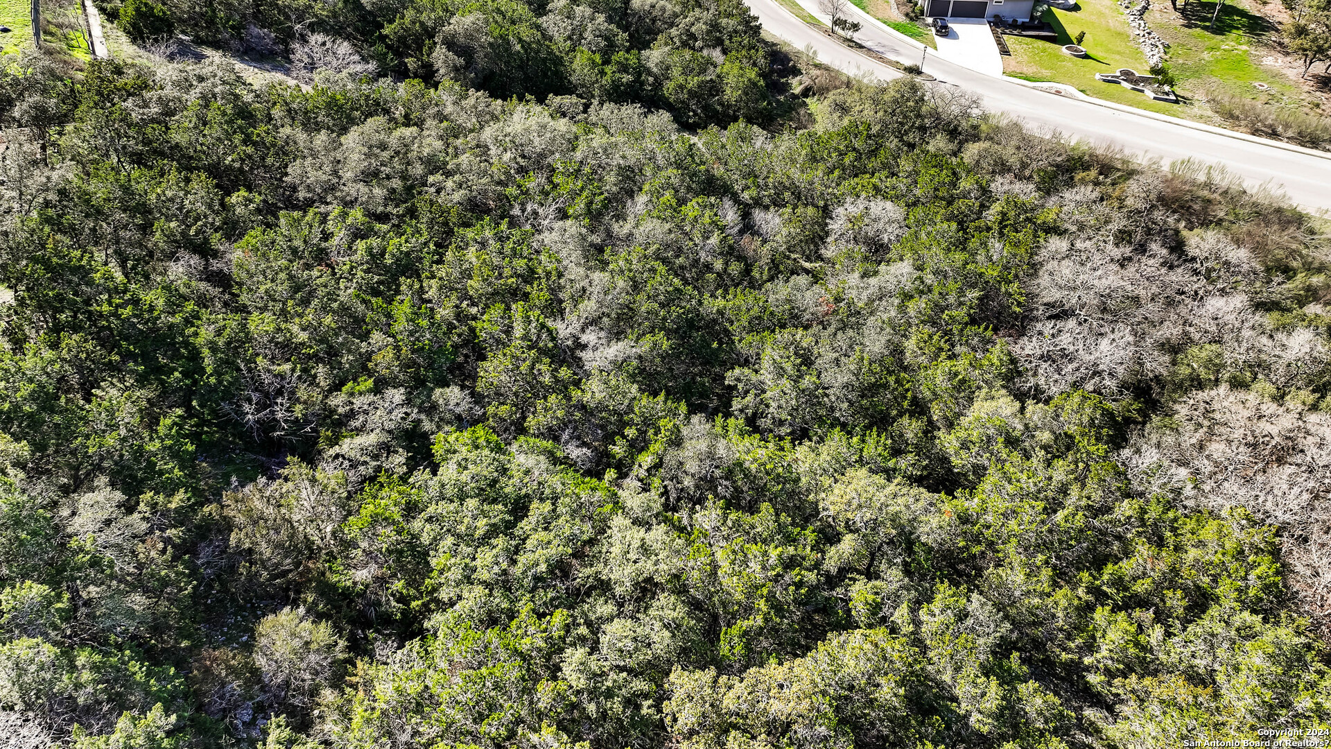 602 Winding Ravine San Antonio, TX 78258 - Photo 10 of 16 a view of a forest with a street