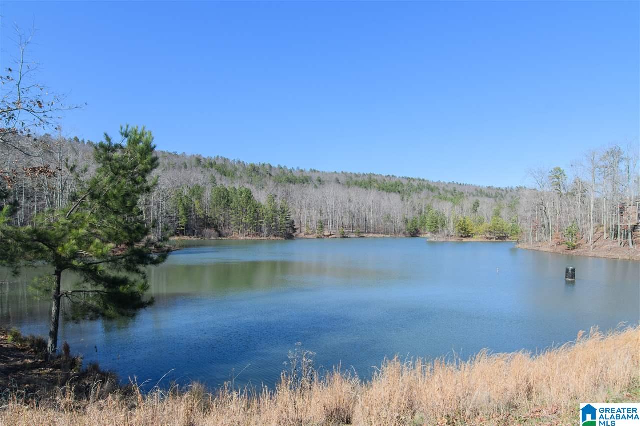 617 Whitetail Run Chelsea, AL 35043 - Photo 34 of 34 Gallery Image 34