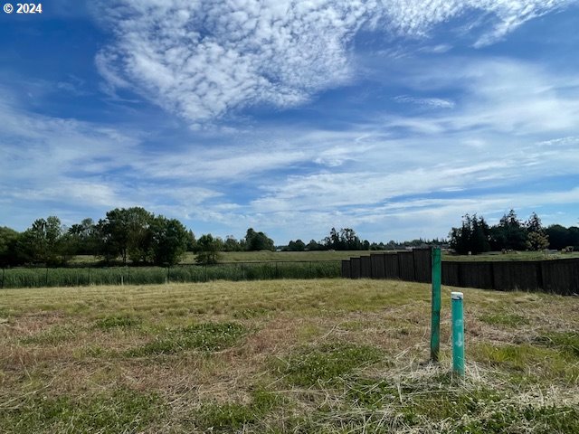 301 North 86th Avenue, Unit 39 Ridgefield, WA 98642 - Photo 19 of 20 Yard