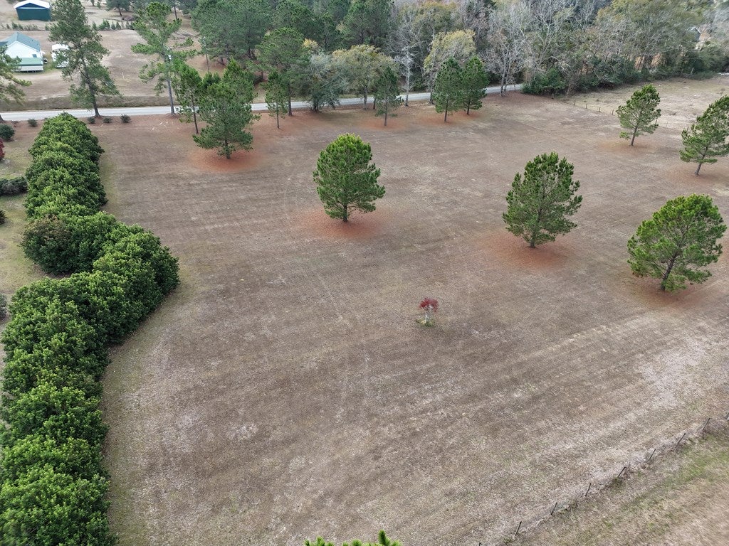 2-acr Lewis Road Cairo, GA 39828 - Photo 23 of 24 Gallery Image 23