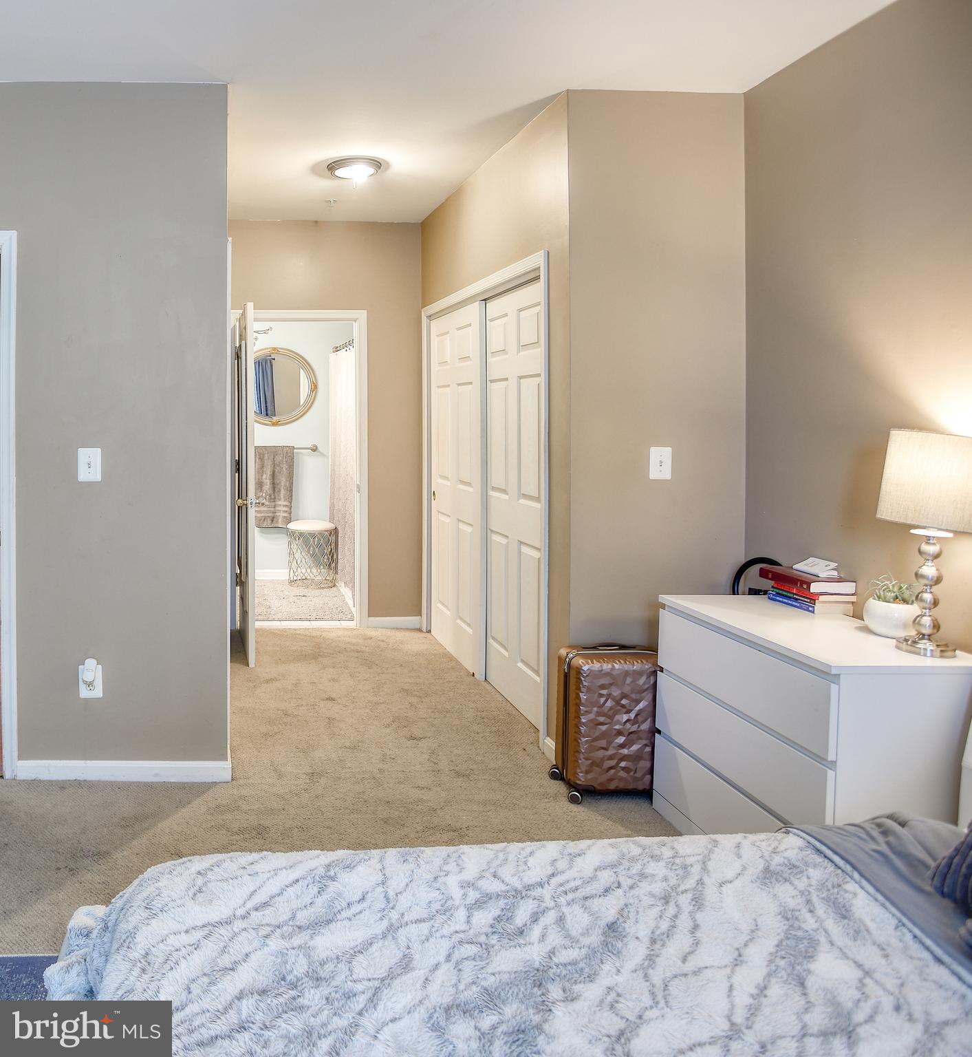 45 Hawk Rise Lane, Unit 204 Owings Mills, MD 21117 - Photo 11 of 30 Double Closets