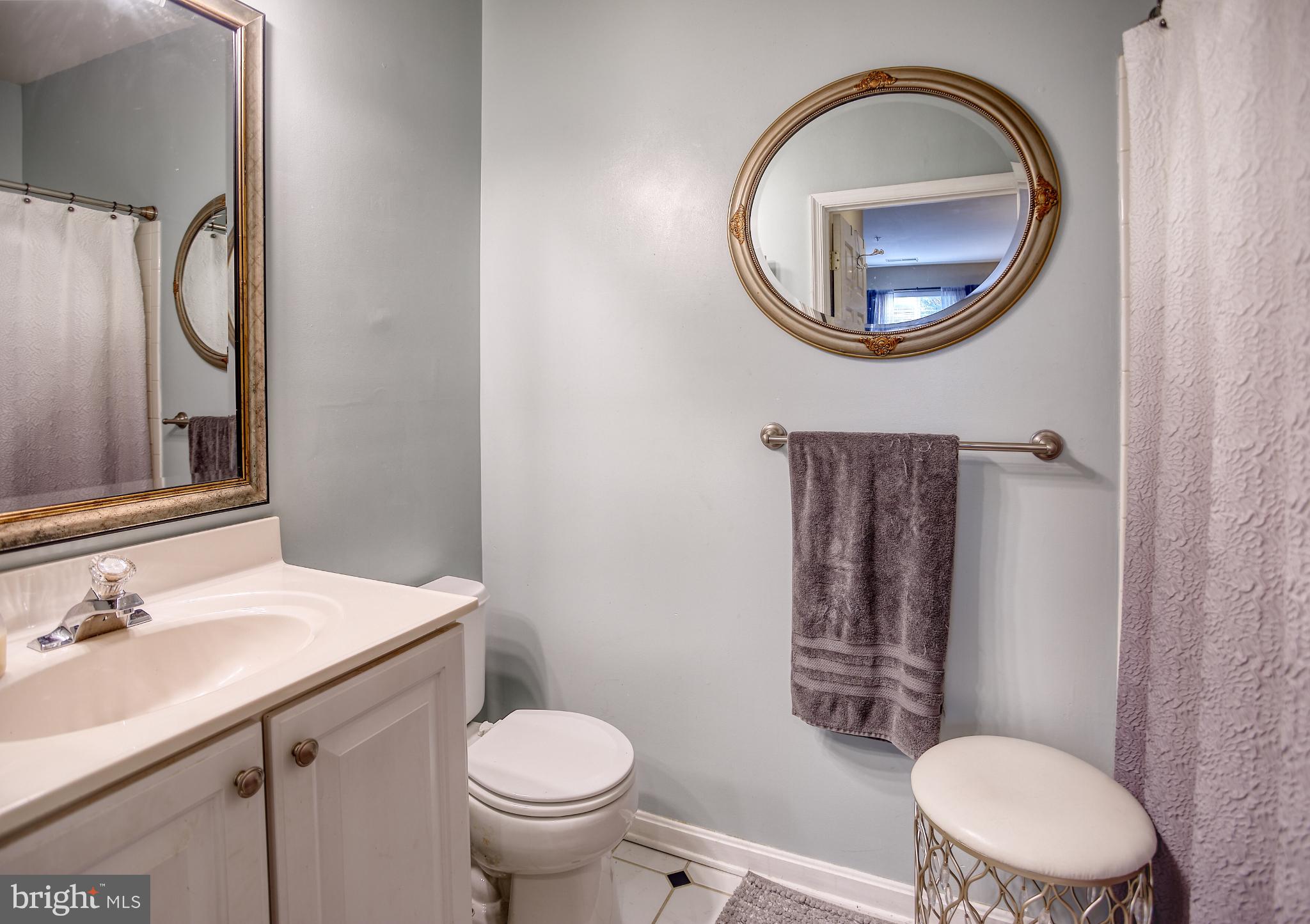 45 Hawk Rise Lane, Unit 204 Owings Mills, MD 21117 - Photo 12 of 30 En-suite