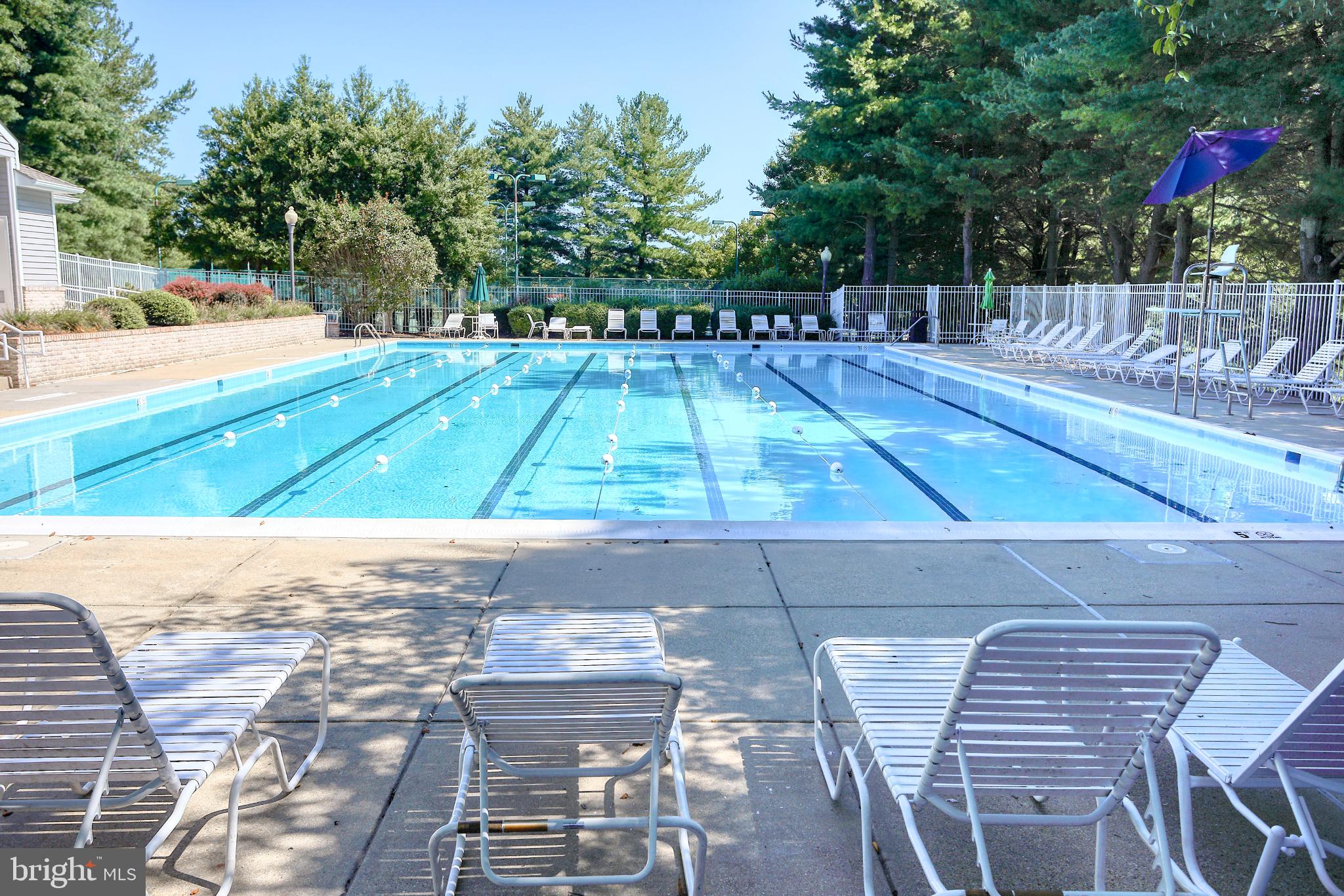 45 Hawk Rise Lane, Unit 204 Owings Mills, MD 21117 - Photo 26 of 30 Lap pool