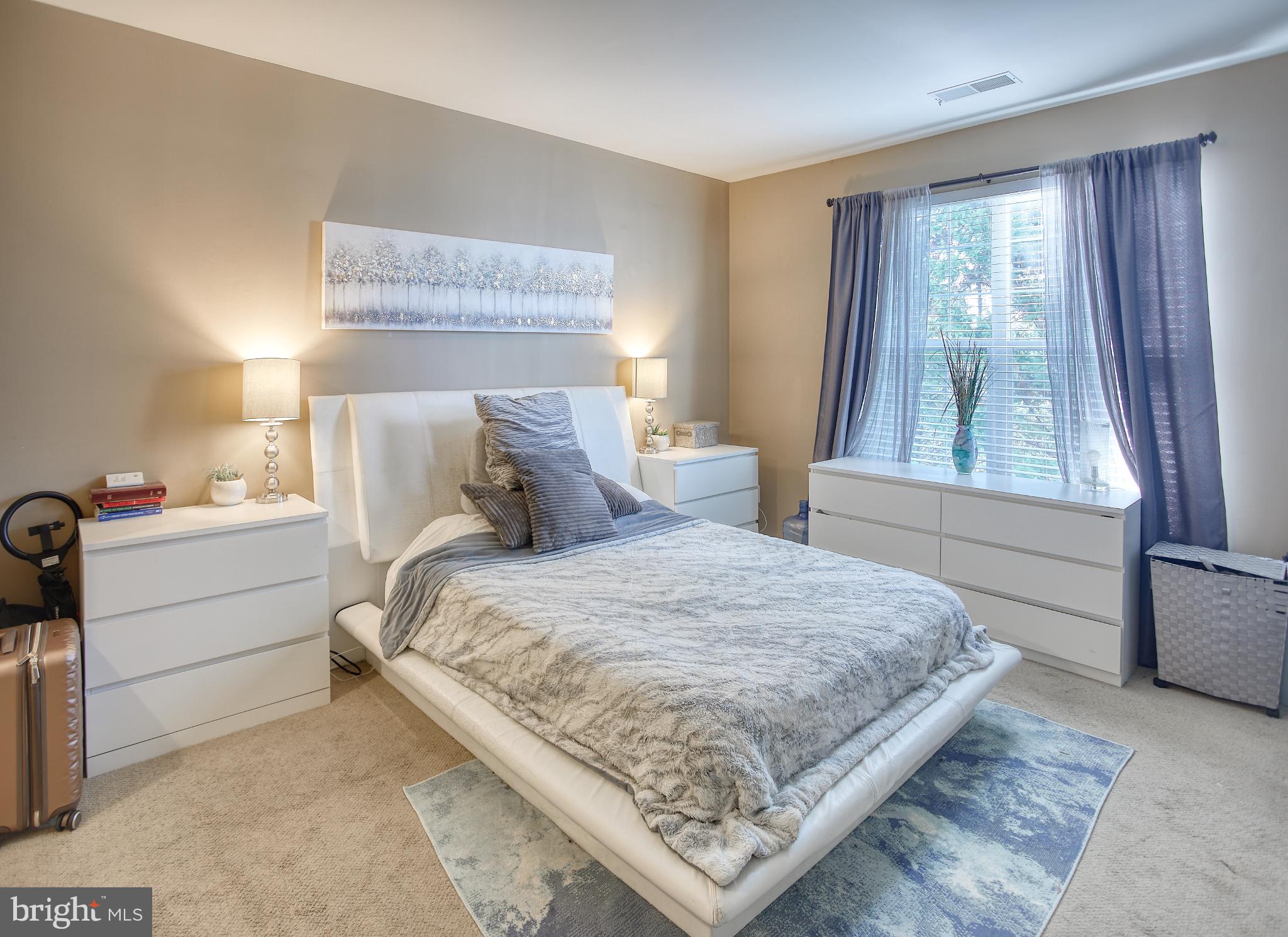 45 Hawk Rise Lane, Unit 204 Owings Mills, MD 21117 - Photo 9 of 30 Master Suite