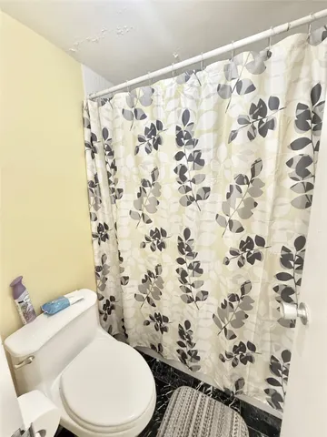 a white toilet sitting next to a shower curtain