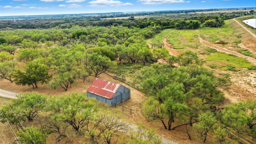 735 Gresham Lane Jacksboro, TX 76458 - Photo 34 of 40 a view of a yard with a tree