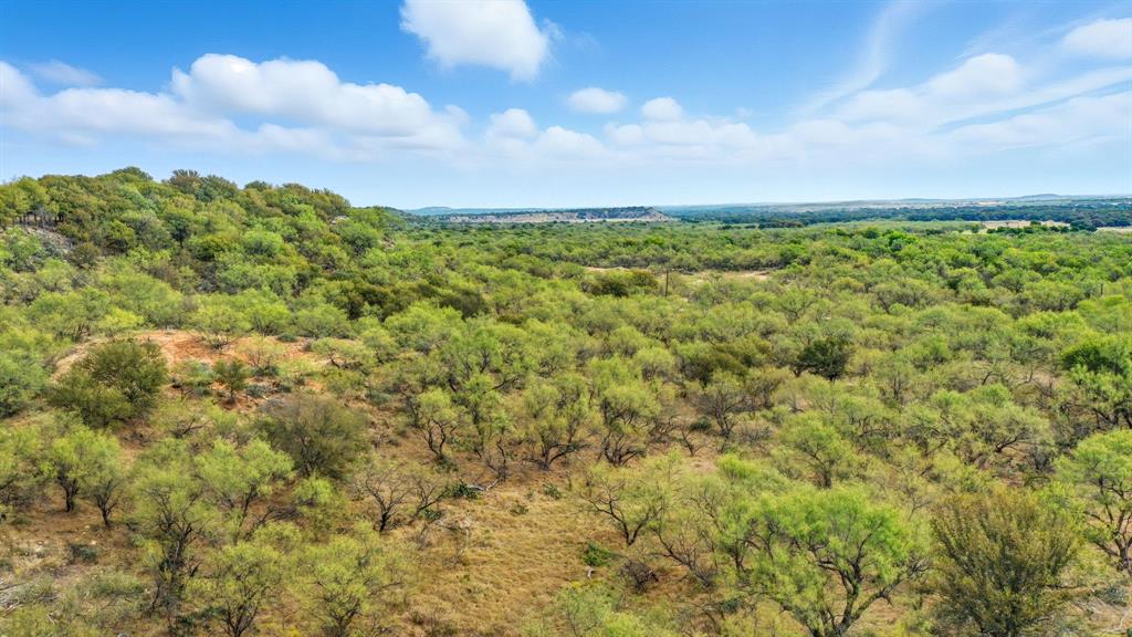 735 Gresham Lane Jacksboro, TX 76458 - Photo 35 of 40 a view of a bunch of trees