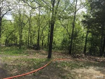 $60,000 | 1002 Hidden Valley Lakes, Annapolis, MO 63620