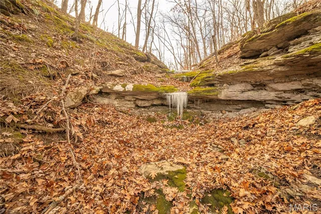 $307,500 | -collins R Collins Road, Bellflower, MO 63333