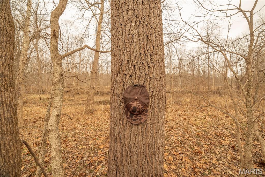 -collins R Collins Road Bellflower, MO 63333 - Photo 11 of 39