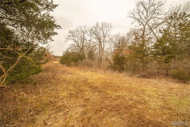 $307,500 | -collins R Collins Road, Bellflower, MO 63333